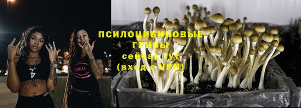 шишки Володарск
