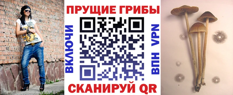 Галлюциногенные грибы мухоморы  Воткинск 
